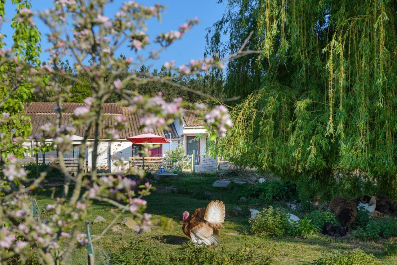 La Chevrerie Bed & Breakfast Vaire Exterior photo